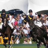 Photoscience - Polo and Wedding photographers in Hampshire Surrey and Sussex